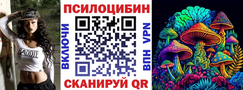 Купить где  Валдай  Галлюциногенные грибы GOLDEN TEACHER 